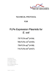 FLPe Expression Plasmids for E. coli