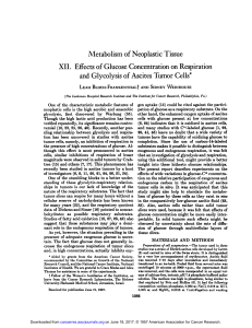 Metabolism of Neoplastic Tissue XII. Effects of Glucose