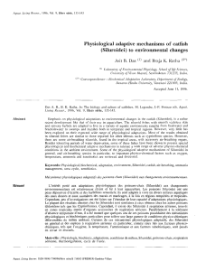 Physiological adaptive mechanisms of catfish \(Siluroidei\) to