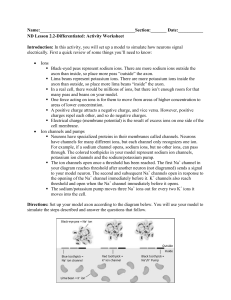 ND Lesson 2.2-Differentiated