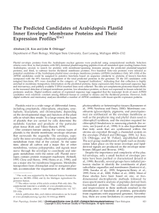 The Predicted Candidates of Arabidopsis Plastid Inner Envelope