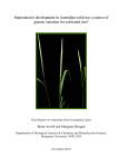 Reproductive development in Australian wild rice: a source of