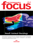 Small Animal Oncology