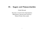 III. - Sugars and Polysaccharides