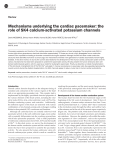Mechanisms underlying the cardiac pacemaker: the role of