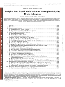 Insights into Rapid Modulation of Neuroplasticity by Brain Estrogens