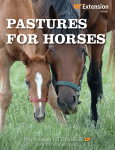 Pastures for Horses - University of Tennessee Extension