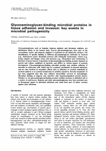 Glycosaminoglycan-binding microbial proteins in tissue adhesion