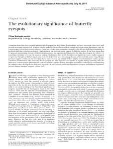 The evolutionary significance of butterfly eyespots