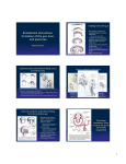 Entodermal derivatives: formation of the gut, liver, and pancreas