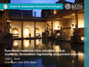 Functional materials from cellulose: tissue scaffolds, formulation