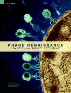 Phage Renaissance: New Hope against