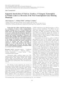 Epigenetic Inactivation of Chalcone Synthase-A