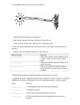 1. The diagram below is of a nerve cell or neuron. i. Add the following