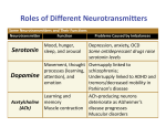 Roles of Different Neurotransmitters