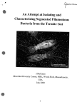 McCance, J. An attempt at isolating and characterizing segmented