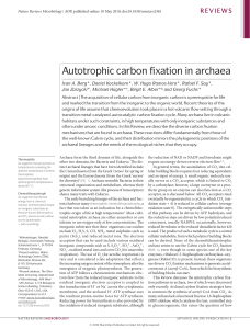 Autotrophic carbon fixation in archaea