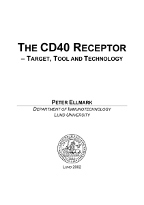 the cd40 receptor - Immunotechnology