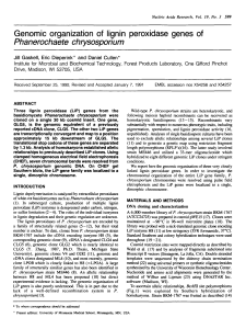 Genomic organization of lignin peroxidase genes of Phanerochaete