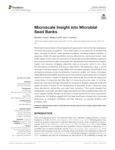 Microscale Insight into Microbial Seed Banks