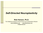 Self-Directed Neuroplasticity