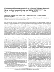 Pleiotropic Phenotypes of the sticky peel Mutant