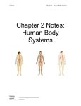 Chapter 2 Notes: Human Body Systems