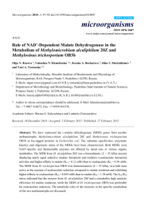 Role of NAD+-Dependent Malate Dehydrogenase in the Metabolism