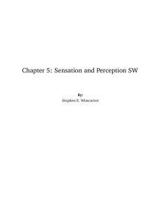 Chapter 5: Sensation and Perception SW