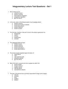 Integumentary Lecture Test Questions – Set 1