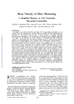 Mean Velocity of Fiber Shortening