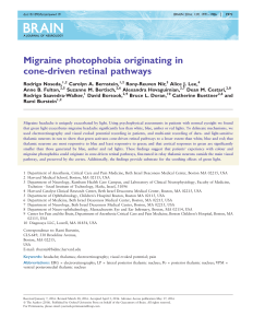 Migraine photophobia originating in cone-driven