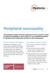 AL amy Peripheral Neuropathy Infosheet Aug 2016.indd