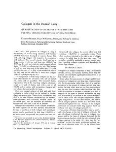 Collagen in the Human Lung