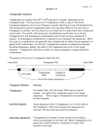 Lecture 13 Transposable elements Transposons are usually