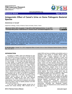Antagonistic Effect of Camel`s Urine on Some Pathogenic Bacterial