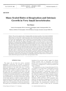 Mass-Scaled Rates of Respiration and Intrinsic