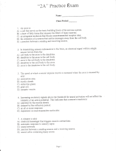 Chapter 2A Practice Test