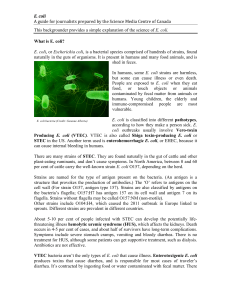 E. coli - Science Media Centre of Canada