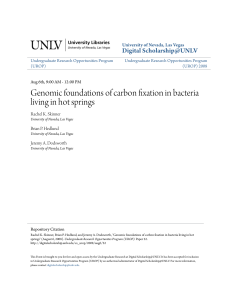 Genomic foundations of carbon fixation in bacteria living in hot springs