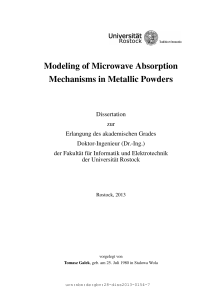 Modeling of Microwave Absorption Mechanisms in