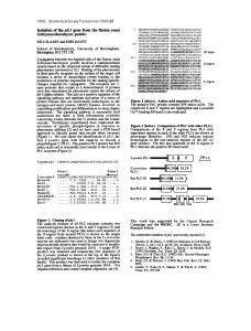 Isolation of the plc1 gene from the fission yeast