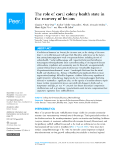 The role of coral colony health state in the recovery of lesions