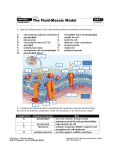 BLM 3 7 FluidMosaicModelAnswers File