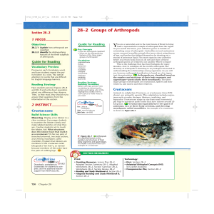 28–2 Groups of Arthropods