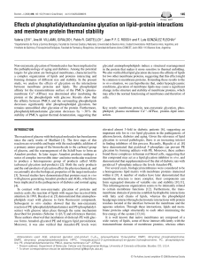 Effects of phosphatidylethanolamine glycation on lipid–protein