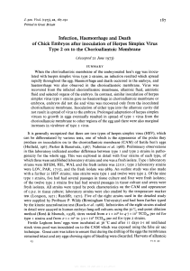 I87 Infection, Haemorrhage and Death of Chick Embryos after