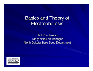 Electrophoresis Basi..