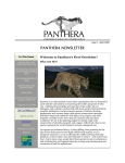 panthera newsletter