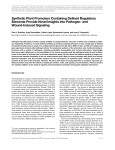 Synthetic Plant Promoters Containing Defined Regulatory Elements